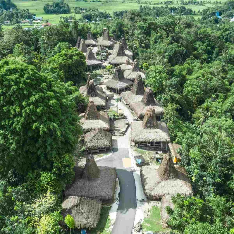 Aerial view of the thatched houses of Prai Ijing Traditional Village