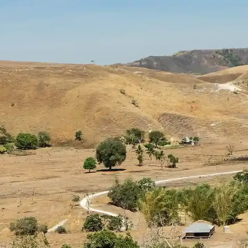 Open grassland of Purukambera Savanna
