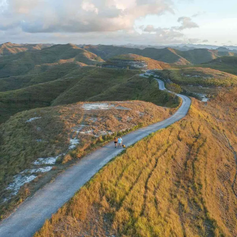 Road winding through the golden hills of Tanarara Savanna