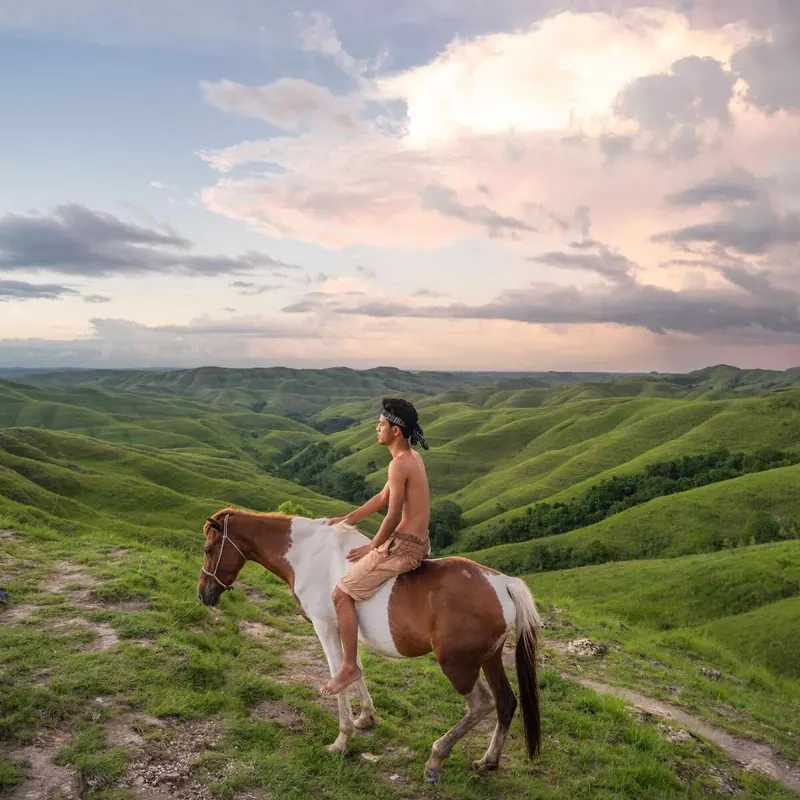 Rider on a horse on the green slopes of Warinding Hill
