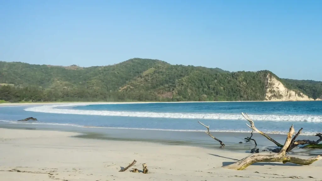 Driftwood on Tarimbang Beach in East Sumba with small waves breaking along the shore