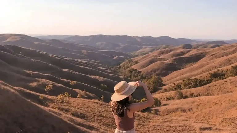 Traveller in a sun hat looking over dry golden hills in Sumba