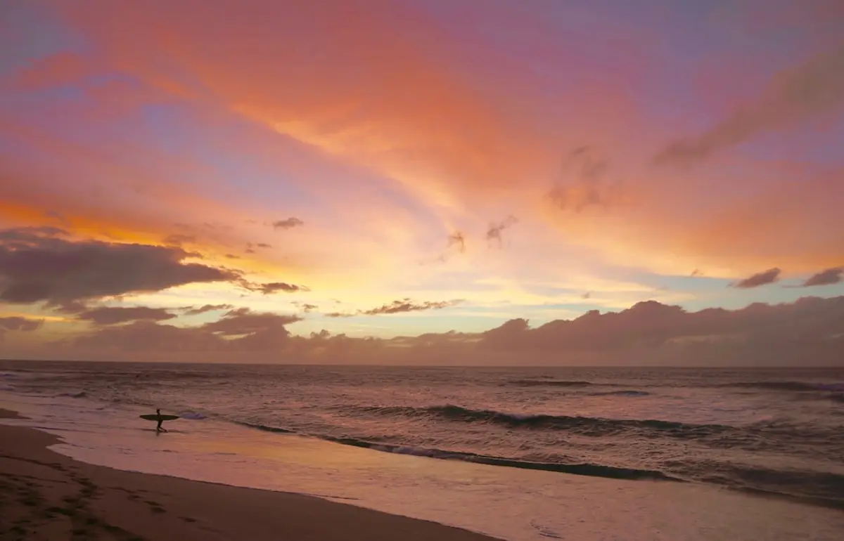 Surfboards lined up on the sand at golden hour before a dawn session
